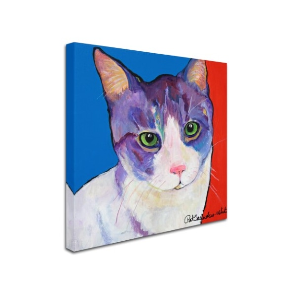 Pat Saunders-White 'Frenchy' Canvas Art,24x24